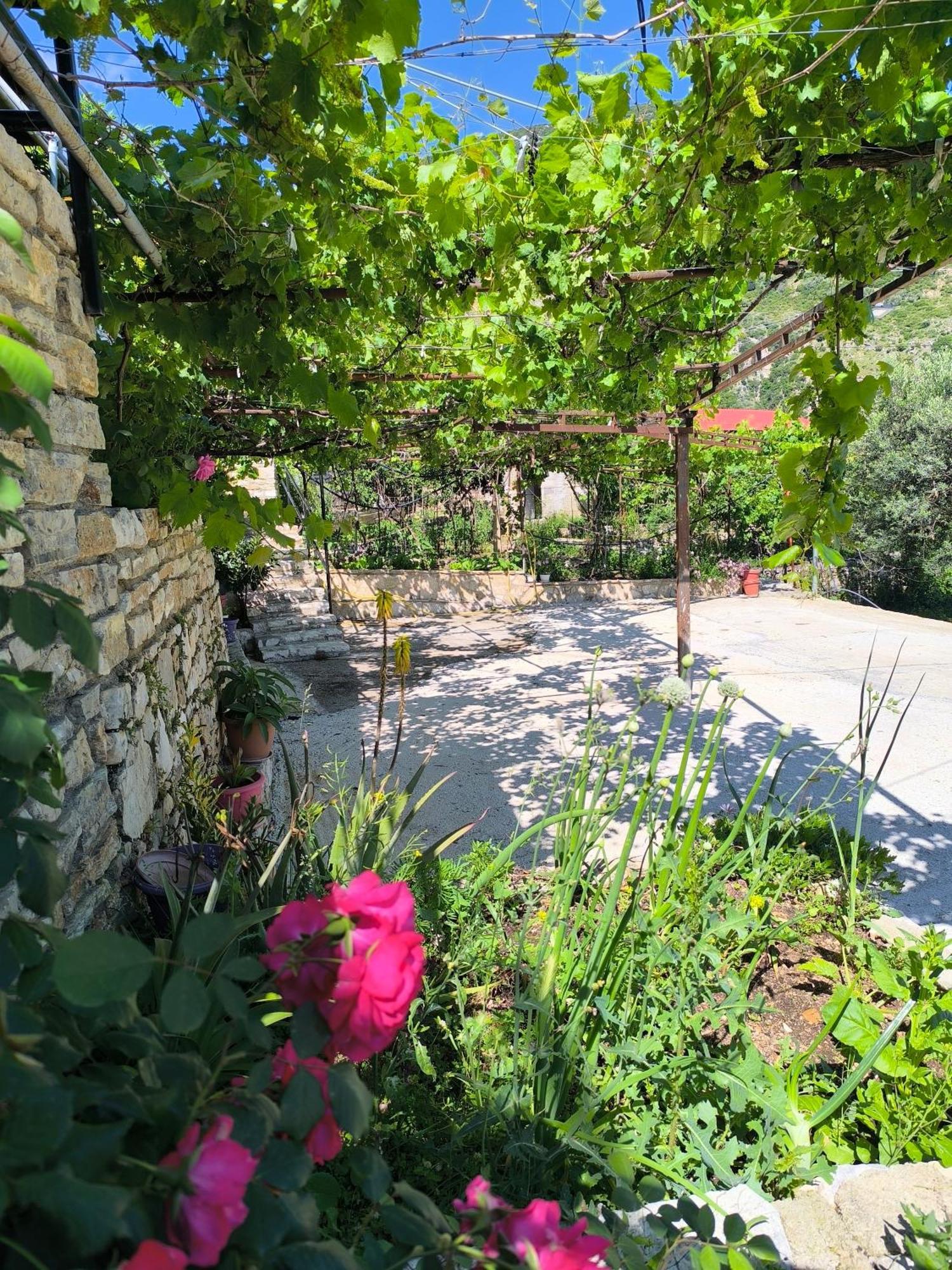 Kaful Apartments Qeparo Exterior photo